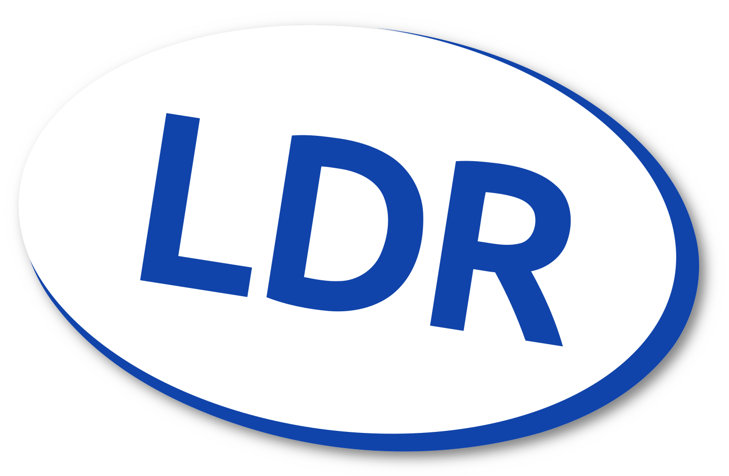 LDR Website Hosting